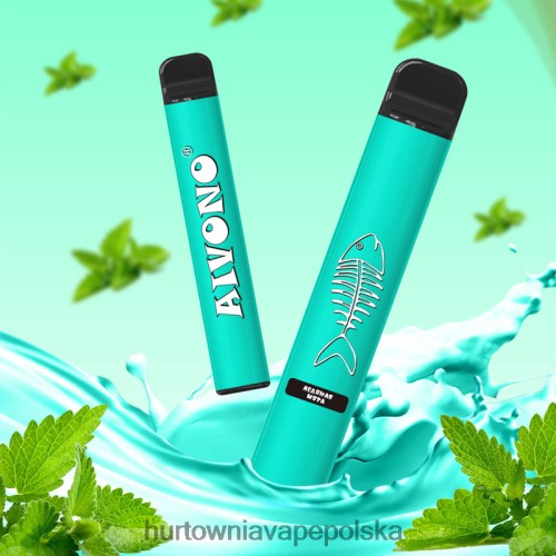 Vape Shop Białystok - Aivono AIM FISHBONE 600 fajna mięta VB00FF278