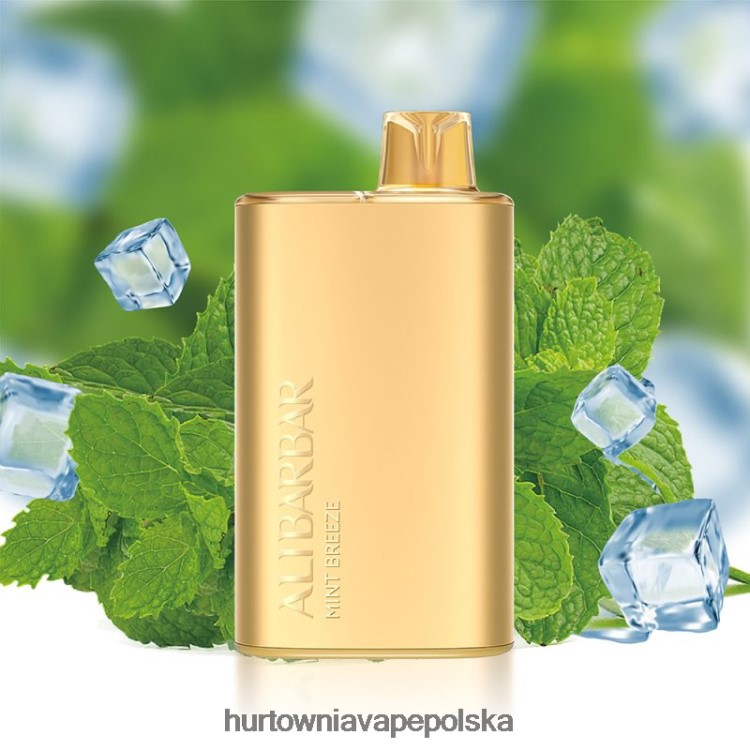 Vape Shop Białystok - Alibarbar Rich 8000 jednorazowych waporyzatorów miętowy powiew 0000008
