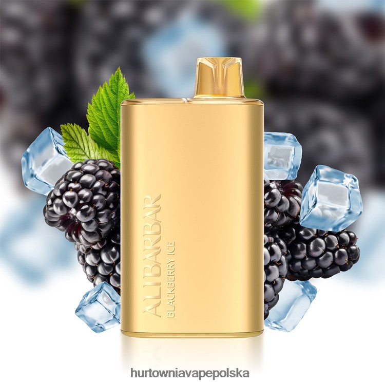 Vape Tech Poland - Alibarbar Rich 8000 jednorazowych waporyzatorów lód jagodowy 0000003