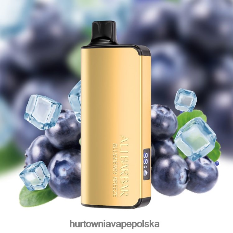 Hurtownia Vape PL - Alibarbar Ingot 20000 jednorazowych waporyzatorów jagodowy wiatr 00000032