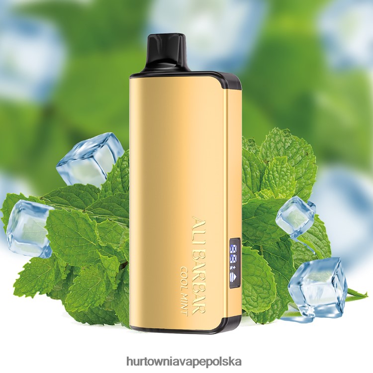 Vape Shop Białystok - Alibarbar Ingot 9000 jednorazowych waporyzatorów fajna mięta 00000018