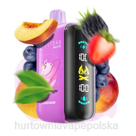 Hurtownia Vape Polska - Elf Bar Raya D3 25000 jednorazowe 6J2T1