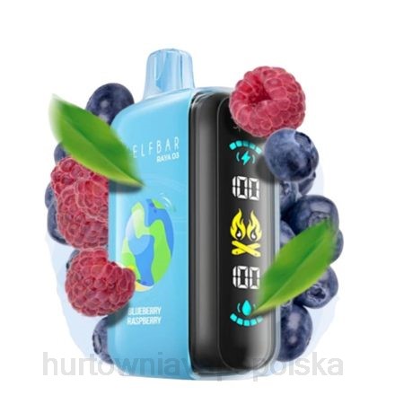 Hurtownia Vape Polska - Elf Bar Raya D3 25000 jednorazowe 6J2T1