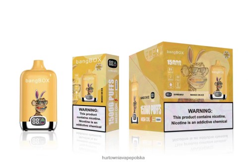 mango na lodzie
