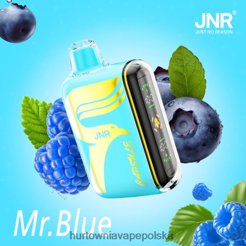 Vape Shop Kraków - pan niebieski VPNZX606 JNR CAPSULE