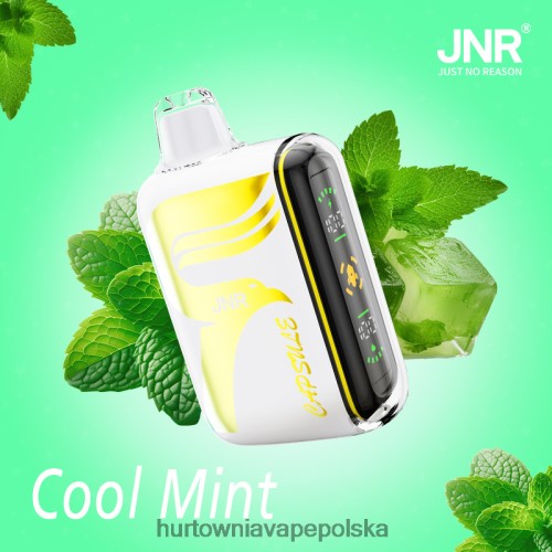 Vape Shop Warszawa - orzeźwiająca mięta VPNZX604 JNR CAPSULE