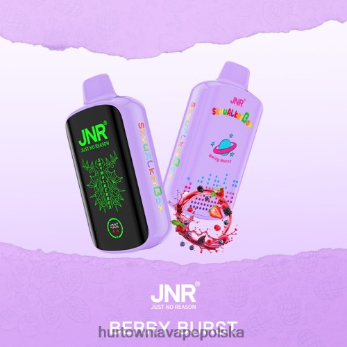 Hurtownia Vape PL - pęknięcie jagód VPNZX582 JNR SKYWALKER BOX