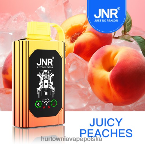 Hurtownia Vape PL - soczyste brzoskwinie VPNZX622 JNR SHISHA BOX