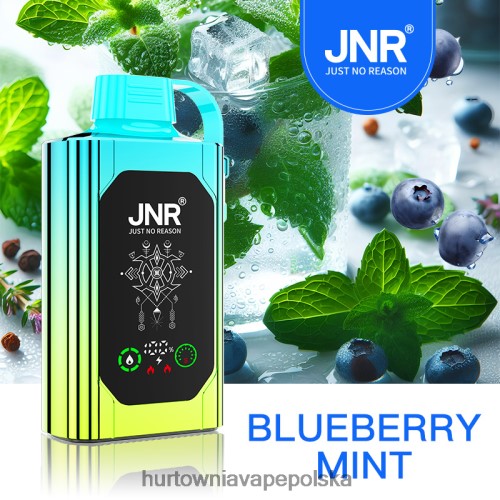 Vape Shop Białystok - jagodowa mięta VPNZX618 JNR SHISHA BOX