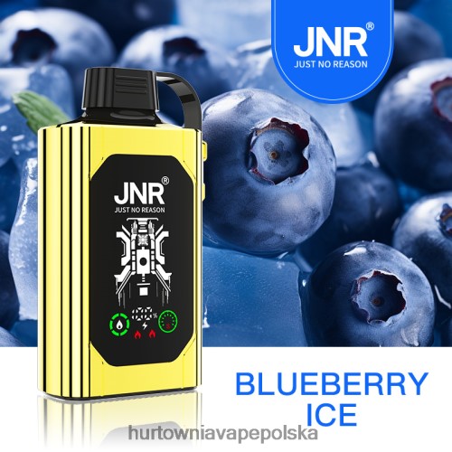 Vape Shop Wrocław - lód jagodowy VPNZX617 JNR SHISHA BOX