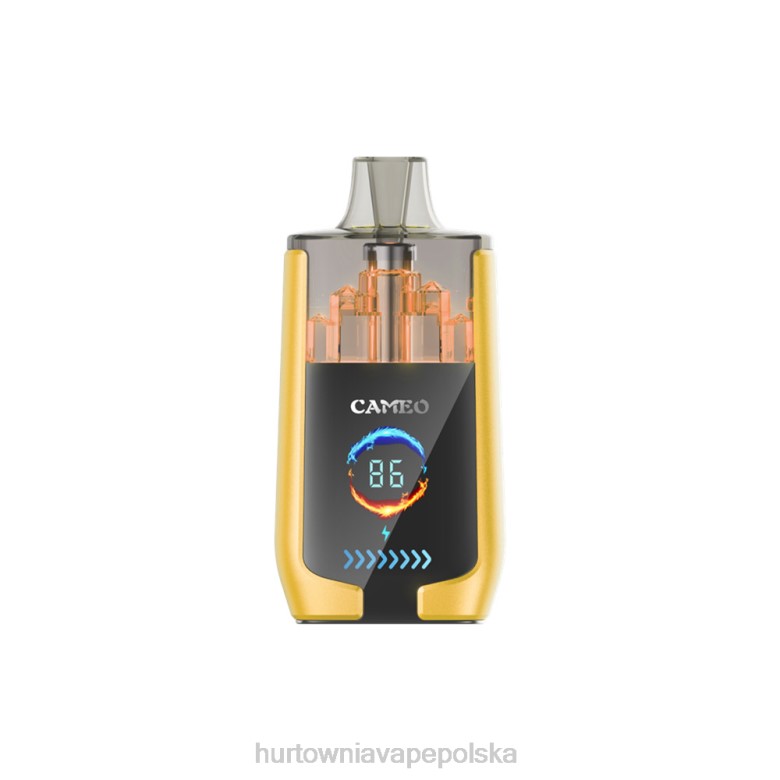 Hurtownia Vape Polska - LAVIE CAMEO 30 000 zaciągnięć 8R2Z21 lód mango