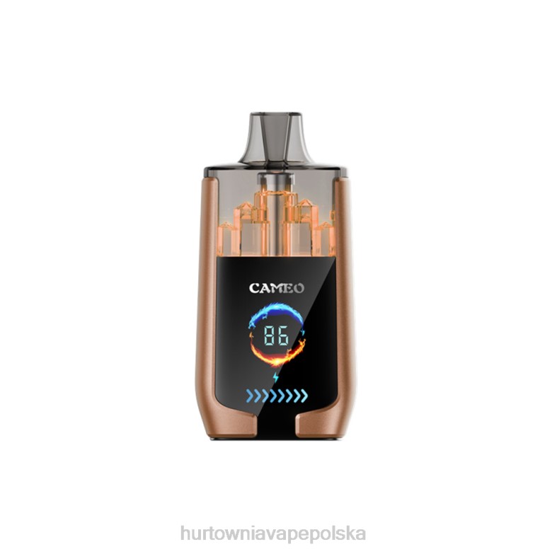 Vape Shop Białystok - LAVIE CAMEO 30 000 zaciągnięć 8R2Z18 lód kawowy
