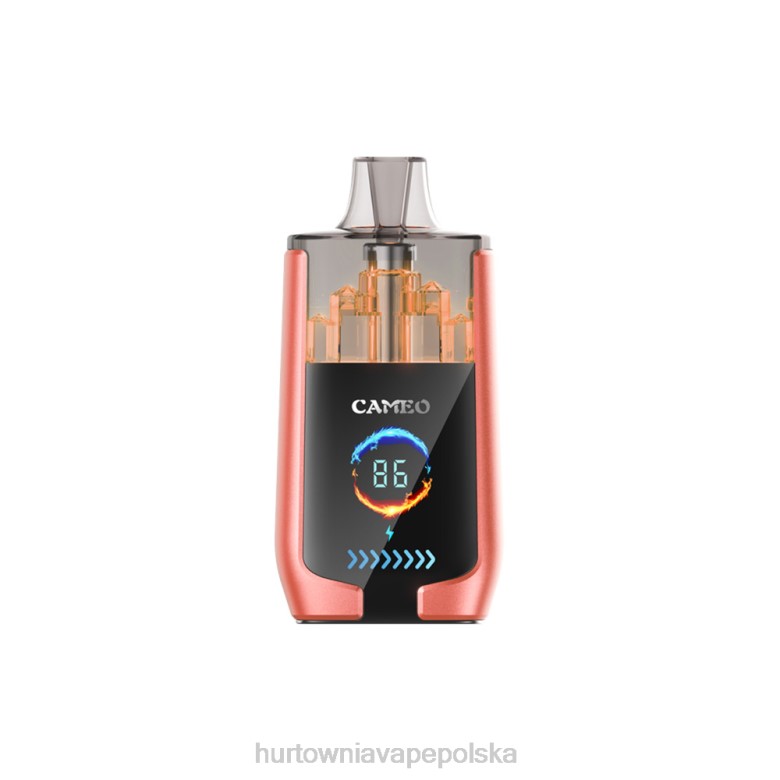 Vape Shop Warszawa - LAVIE CAMEO 30 000 zaciągnięć 8R2Z24 arbuz truskawkowy
