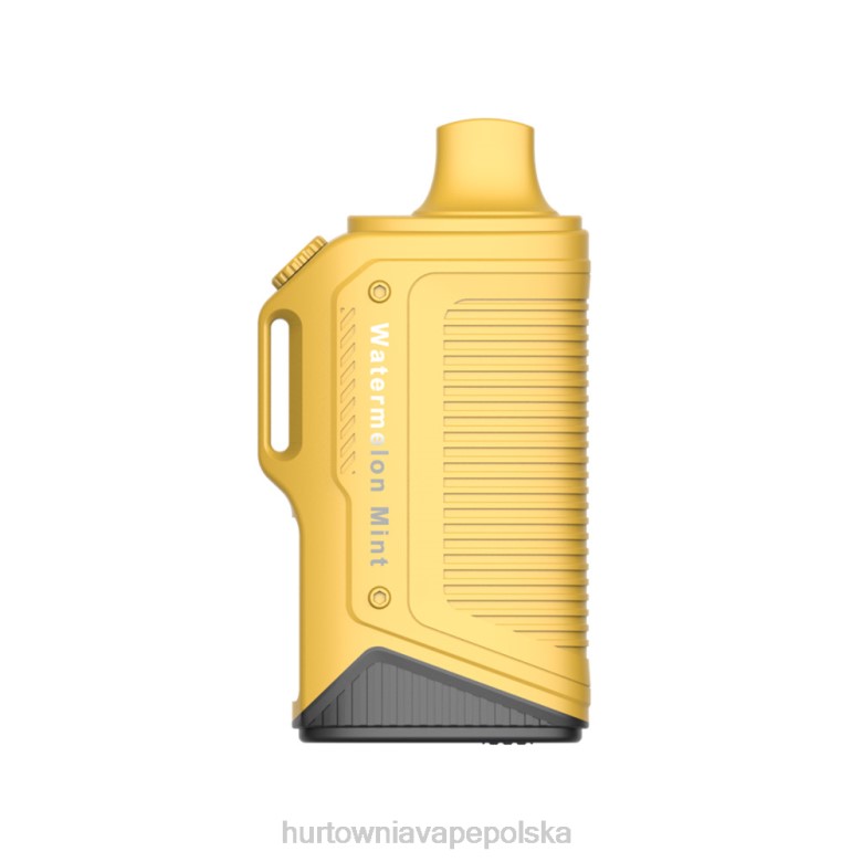 Wapować Kupic - LAVIE Energy Box 15 000 zaciągnięć 8R2Z70 arbuz miętowy