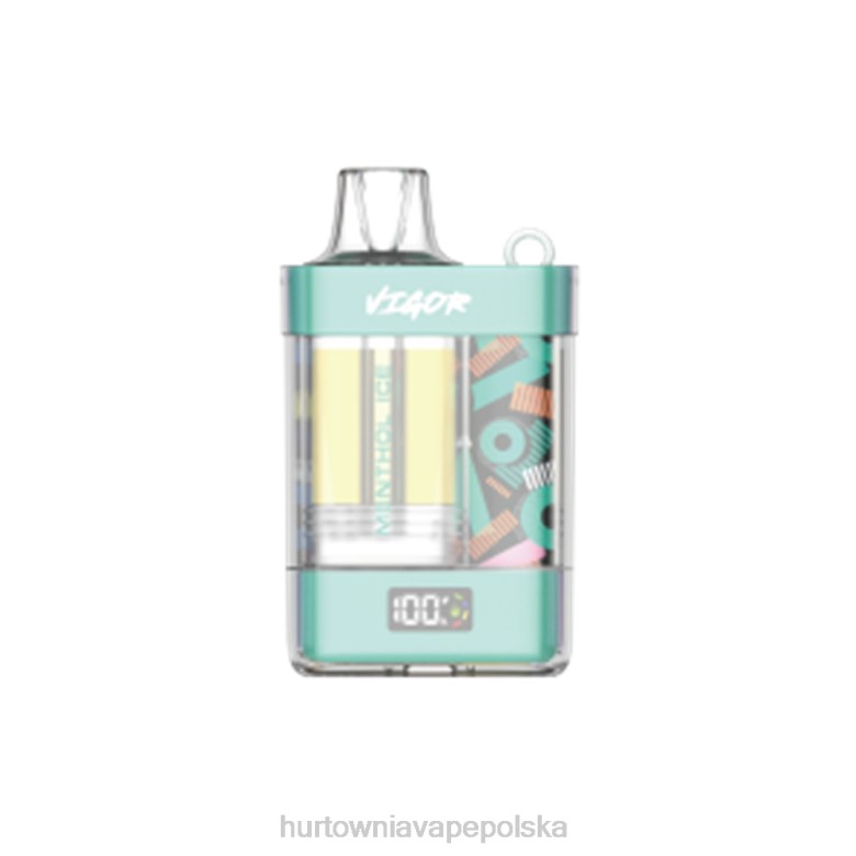 Hurtownia Vape PL - LAVIE VIGOR 15 000 zaciągnięć 8R2Z2 lód mentolowy