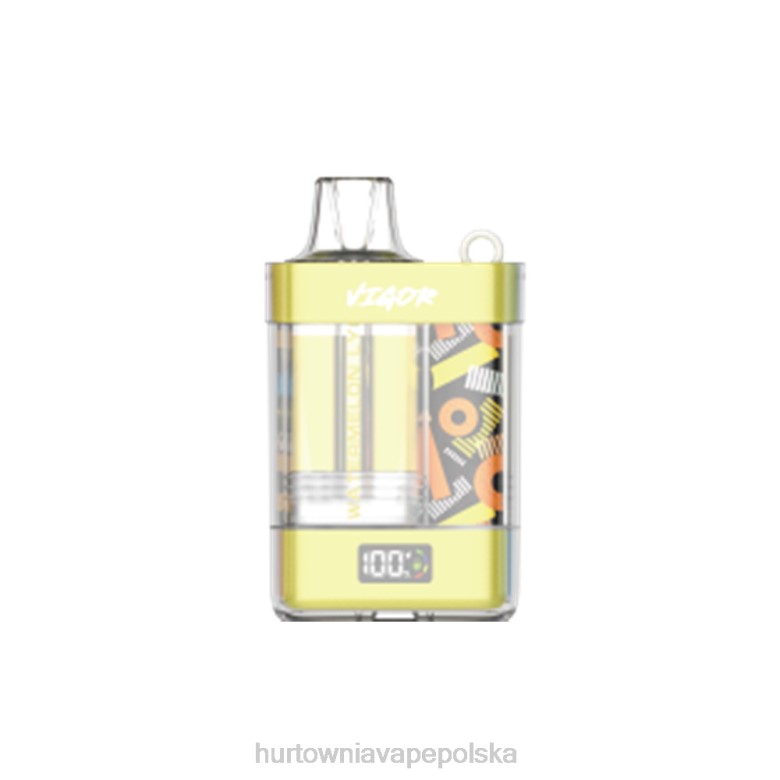 Hurtownia Vape Polska - LAVIE VIGOR 15 000 zaciągnięć 8R2Z11 liczi arbuzowe