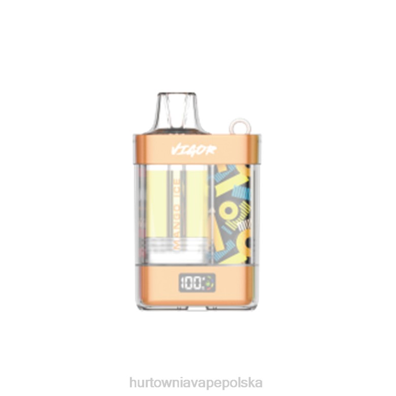 Vape Tech Poland - LAVIE VIGOR 15 000 zaciągnięć 8R2Z3 lód mango