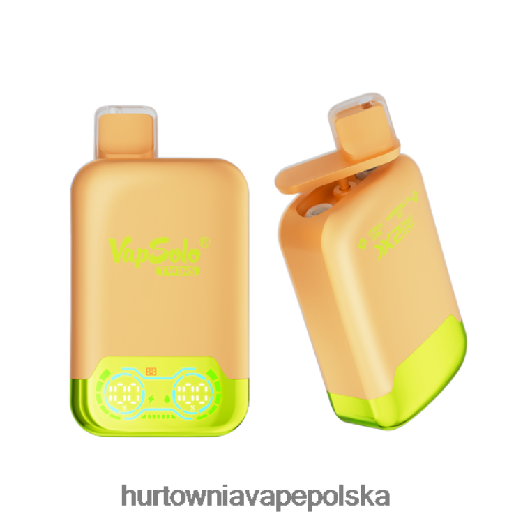Vape Tech Poland - Vapsolo TWINS jednorazowy waporyzator lód cytrynowo-limonkowy i arbuzowy 000000123