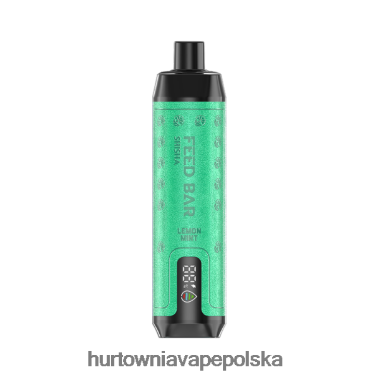 Hurtownia Vape Polska - Vapsolo SHISHA jednorazowy waporyzator cytryna, mięta 000000101