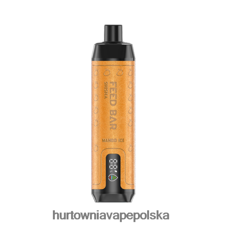 Vape Tech Poland - Vapsolo SHISHA jednorazowy waporyzator lód mango 000000103