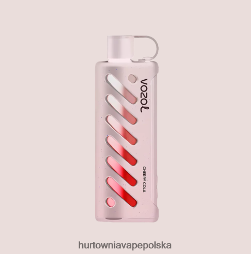 Hurtownia Vape Polska - VOZOL szisza sprzętowa 25000 wielo PZHBD01