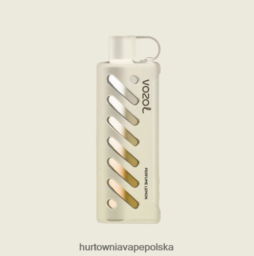 Hurtownia Vape Polska - VOZOL szisza sprzętowa 25000 wielo PZHBD01