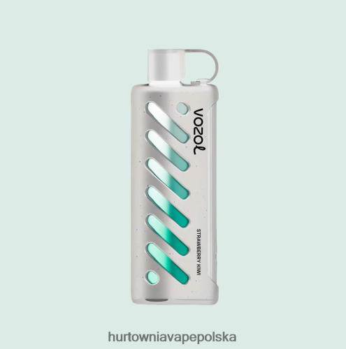 Hurtownia Vape Polska - VOZOL szisza sprzętowa 25000 wielo PZHBD01