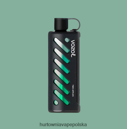 Hurtownia Vape Polska - VOZOL szisza sprzętowa 25000 wielo PZHBD01