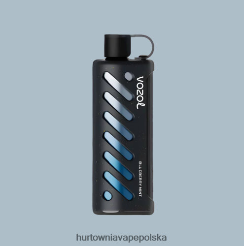 Hurtownia Vape Polska - VOZOL szisza sprzętowa 25000 wielo PZHBD01