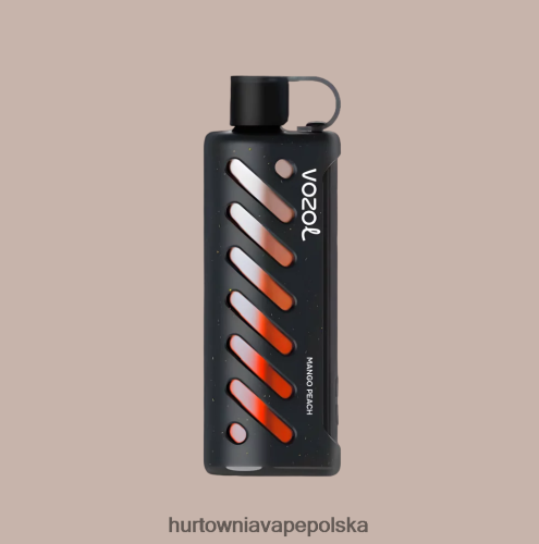 Hurtownia Vape Polska - VOZOL szisza sprzętowa 25000 wielo PZHBD01