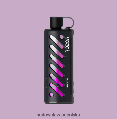 Hurtownia Vape Polska - VOZOL szisza sprzętowa 25000 wielo PZHBD01
