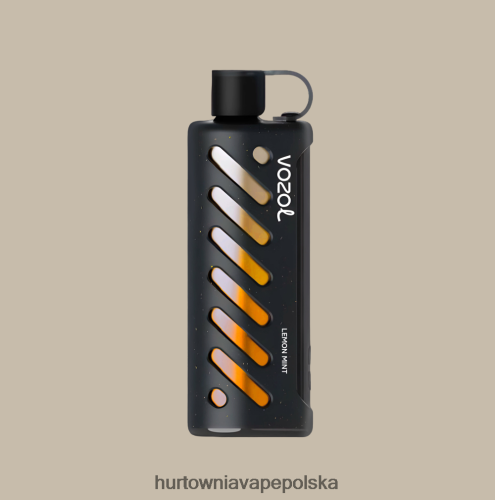 Hurtownia Vape Polska - VOZOL szisza sprzętowa 25000 wielo PZHBD01