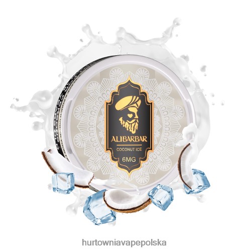 Hurtownia Vape W Polsce - lód kokosowy VPNZX69 ALIBARBAR woreczek nikotynowy