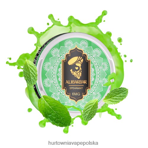 Vape Shop Kraków - mięta VPNZX56 ALIBARBAR woreczek nikotynowy