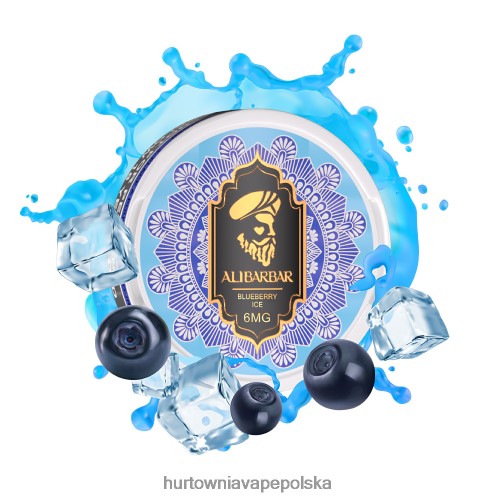 Vape Shop Lublin - lód jagodowy VPNZX65 ALIBARBAR woreczek nikotynowy