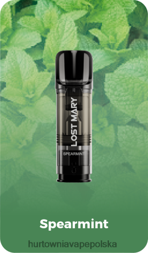 mięta