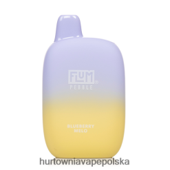Hurtownia Vape PL - FLUM PEBBLES 6000 zaciągnięć melo jagodowe PZHBD022