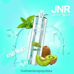 Hurtownia Vape Polska - kiwi, mięta VPNZX681 JNR SHISHA