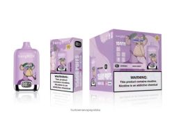 Hurtownia Vape Polska - zmiksowane jagody VPNZX141 Bang Box 15000