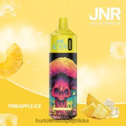 Hurtownia Vape W Polsce - lód ananasowy VPNZX659 JNR ALIEN