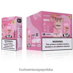Hurtownia Vape W Polsce - lód arbuzowy VPNZX139 Bang Box 15000