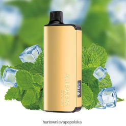 Vape Shop Białystok - Alibarbar Ingot 9000 jednorazowych waporyzatorów fajna mięta 00000018