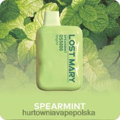 Vape Shop Kraków - mięta VPNZX506 LOST MARY OS5000 0 mg/ml