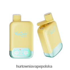 Vape Shop Lublin - Vapsolo TWINS jednorazowy waporyzator ananas, kokos i truskawka, banan 000000125