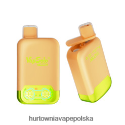 Vape Tech Poland - Vapsolo TWINS jednorazowy waporyzator lód cytrynowo-limonkowy i arbuzowy 000000123