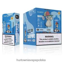 Wapować Kupic - jagoda malina VPNZX140 Bang Box 15000
